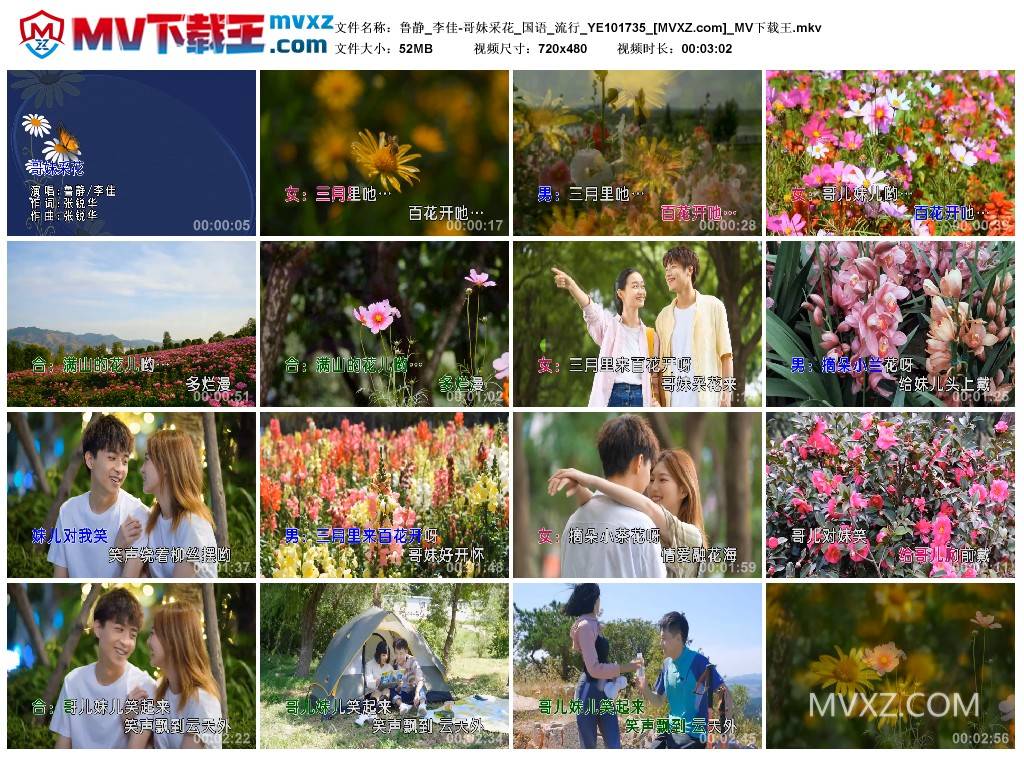 鲁静_李佳-哥妹采花_国语_流行_YE101735